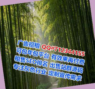 汉滨代生计算机公司